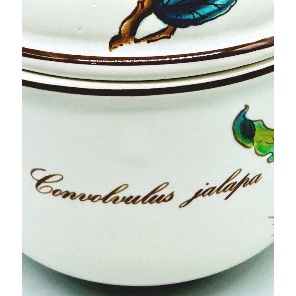 Villeroy Boch Botanica Jam Jelly Jar‎ Yellow Convolvulus Jalapa Floral